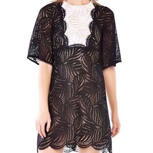 $298 BCBGMAXAZRIA “Lourin” Black & White Scalloped Lace Eyelash Trim Dress